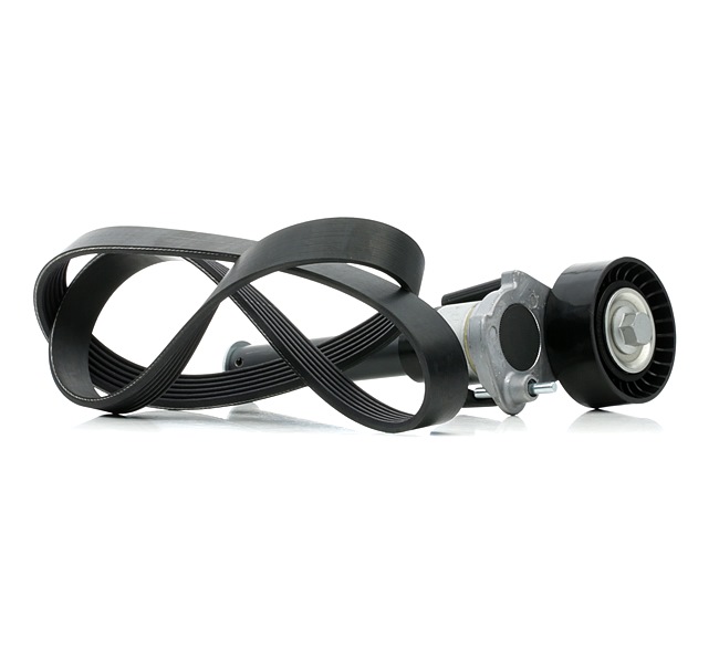 RIDEX 542R0390 courroie d'alternateur SEAT Altea XL (5P5, 5P8) 1.8 TFSI 160CV 2009