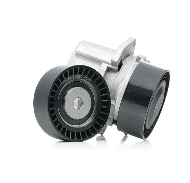 order RIDEX (542R0415) V-Ribbed Belt Set