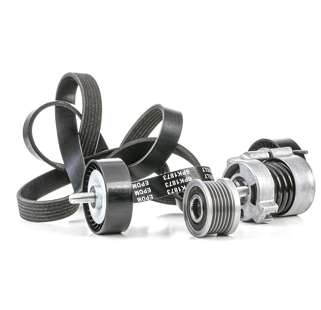 Número OEM 1 440 378 - Jogo de correias trapezoidais estriadas 542R0429 BMW, MINI