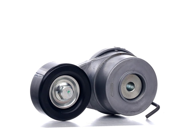 online RIDEX Spannrolle 310T0320 Hyundai 52,44 € im Online-Shop kaufen