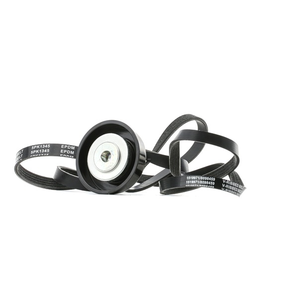 Keilrippenriemensatz 542R0489 RIDEX VOLVO S40 I (VS, 644) 1.8 i 1998 125 PS