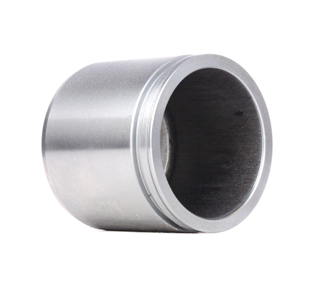RIDEX 2248P0031 Kolben Bremssattel HONDA Civic VI Hatchback (EJ, EK)