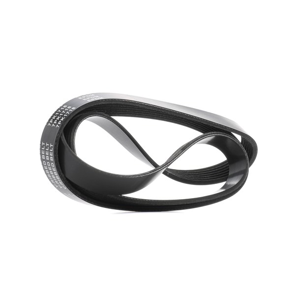RIDEX 305P0454 Serpentine belt ALFA ROMEO 164 (164) 2.5 TD 125 hp Diesel 1998