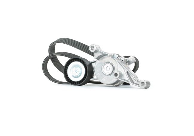 Kit Cinghie Poly-V SKRBS-1200498 STARK Volkswagen Multivan T5 (7HM, 7HN, 7HF, 7EF, 7EM, 7EN) 1.9 TDI 2009 102 CV