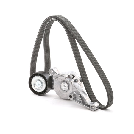 Jogo de correias trapezoidais estriadas 542R0499 RIDEX VW Sharan I (7M8, 7M9, 7M6) 1.9 TDI 4motion 2004 115 cv