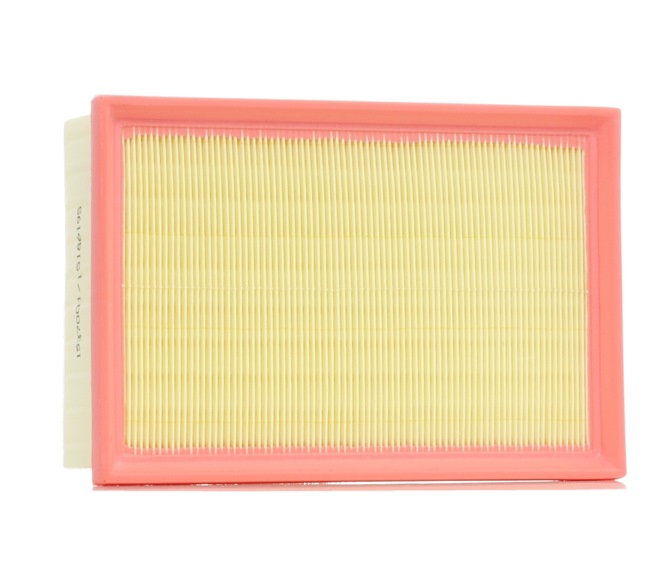 RIDEX 8A1305 Peugeot 307 cc 3b air filter replacement cost
