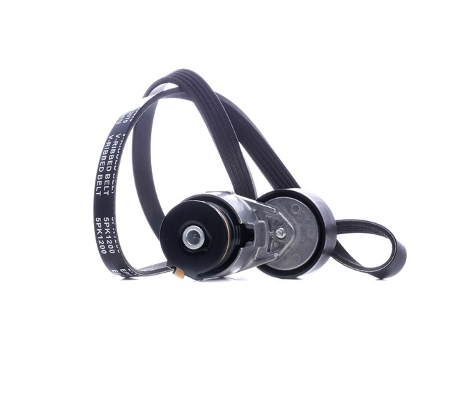 STARK SKRBS-1200508 poly v-belt kit RENAULT Clio II Hatchback (BB, CB) 1.5 dCi 82hp 2003