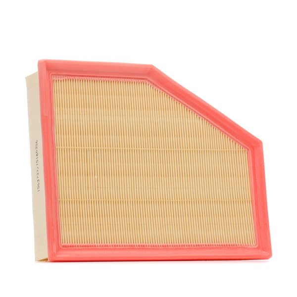 RIDEX 8A1338 Luftfilter BMW G01