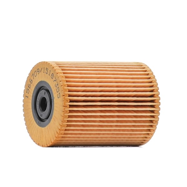 RIDEX 9F0303 fuel filter AUDI Q7 (4LB) 4.2 FSI quattro 350hp 2006