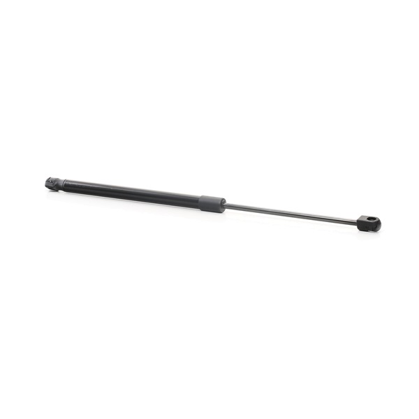 RIDEX 219G0937 boot struts RENAULT Megane III Grandtour (KZ) 1.5 dCi (KZ1M, KZ1W, KZ0R) 106hp 2009