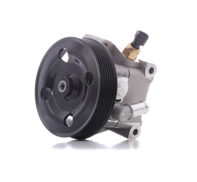 RIDEX | Servopumpe remskive -ø: 125mm, hydraulisk 12H0144 FORD Escort Mk2 Sedan (ATH) 1981 billige på nett