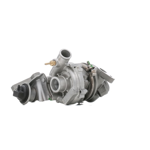 Numéro OEM A 160 096 04 99 - Turbocompresseur 2234C0118R MERCEDES-BENZ, SMART
