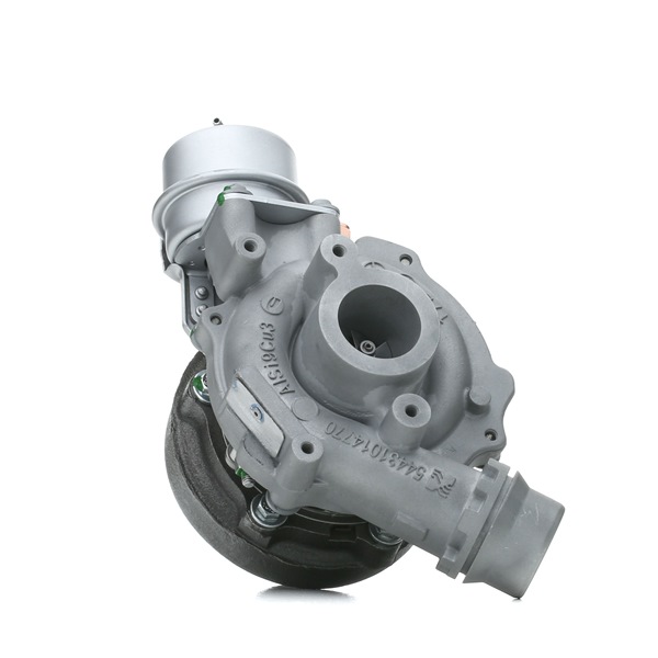 Turbolader 2234C0113R RIDEX REMAN RENAULT Scénic III (JZ0/1_) 1.5 dCi (JZ02, JZ0R) 2016 95 hk