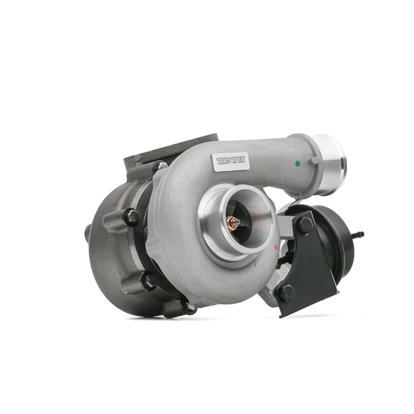 kjøpe RIDEX (2234C0252) Turbolader