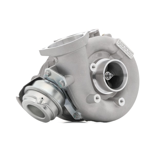 RIDEX | Turbolader med tetning 2234C0289 BMW 7 (E65, E66, E67) 2009 billige på nett