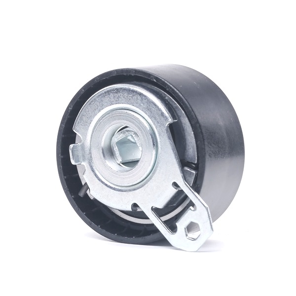 Número OEM 77 00 115 862 - Rolo tensor, correia dentada 308T0214 RENAULT, OPEL, DACIA, VAUXHALL, RENAULT TRUCKS