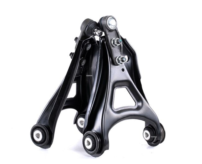 RIDEX 772S0163 suspension kit RENAULT Kangoo I (KC) 1.0 70hp 2003