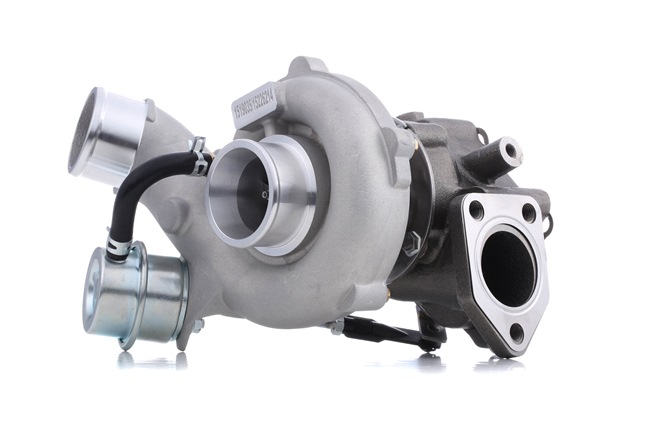 comprar online RIDEX Turbocompressor sobrealimentação 2234C0296 Kia 421,22 €