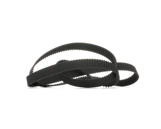 RIDEX 306T0261 timing belt AUDI A4 B6/B7 Convertible (8H7, 8HE) 3.0 220hp 2002