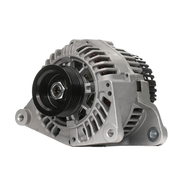 Alternator 4G0754 RIDEX Volkswagen Passat B5 GP Variant (3BG, 3B6) 2.8 4motion 2003 193 Pk