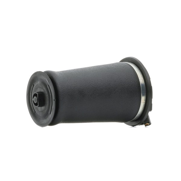 Federbalg, Luftfederung 4119A0036 RIDEX LAND ROVER Range Rover II (P38A) 4.0 4x4 1995 185 PS