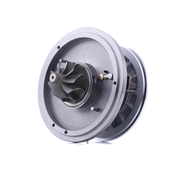 Coreassy turbina 4973C0035 RIDEX Volkswagen Touran I (1T1, 1T2) 2.0 TDI 2008 170 CV