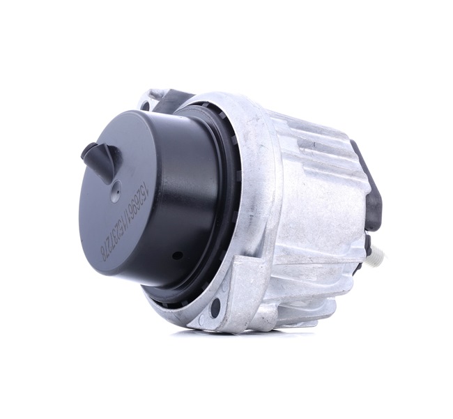 acheter RIDEX (247E0419) Support moteur