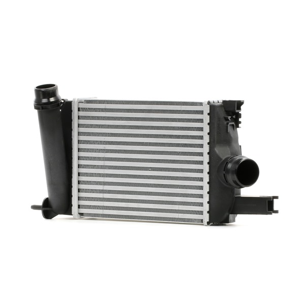 Intercooler SKICC-0890232 STARK DACIA Lodgy (JS_) 1.5 dCi (JSMW) 2013 85 PS