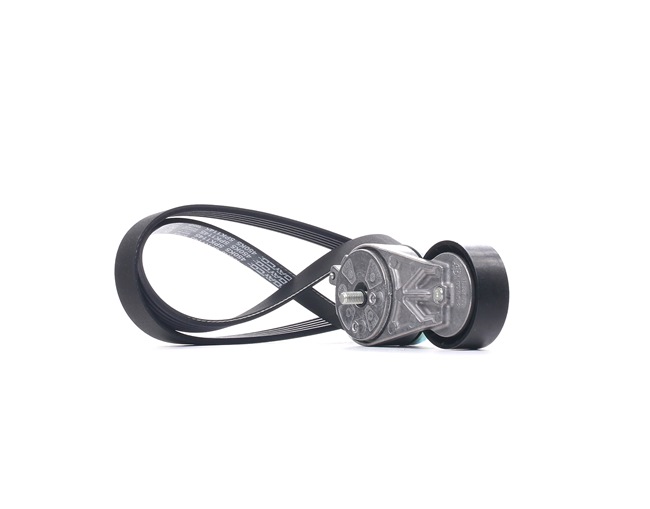 DAYCO | Correia trapezoidal em v KPV384 FIAT Stilo Multi Wagon (192) 2005 baratos online