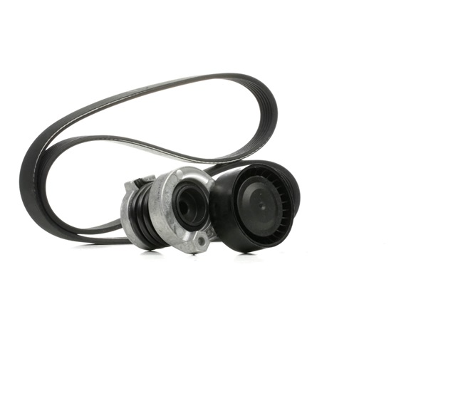 Drivremssats KPV386 DAYCO RENAULT Kangoo II Express (FW) 1.5 dCi 105 (FW0F) 2021 103 hk