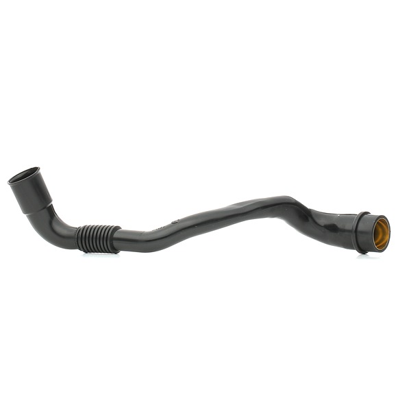 FEBI BILSTEIN 170315 reniflard d'huile SEAT Leon I 3/5 portes (1M1) 1.6 102CV 2006