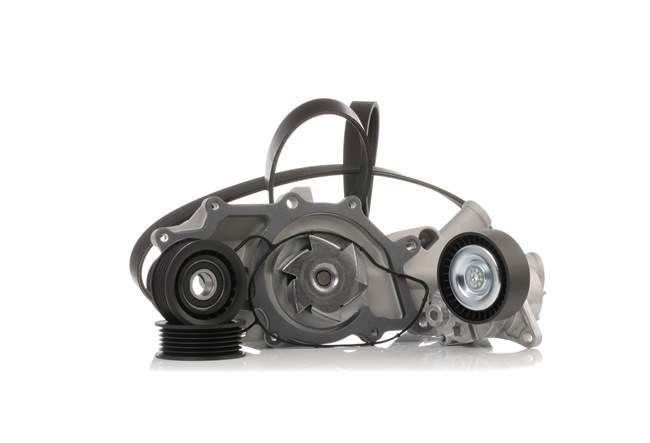 OEM-Nummer 646 200 03 01 - Wasserpumpe + Keilrippenriemensatz SKPRB-5160010 MERCEDES-BENZ, SMART