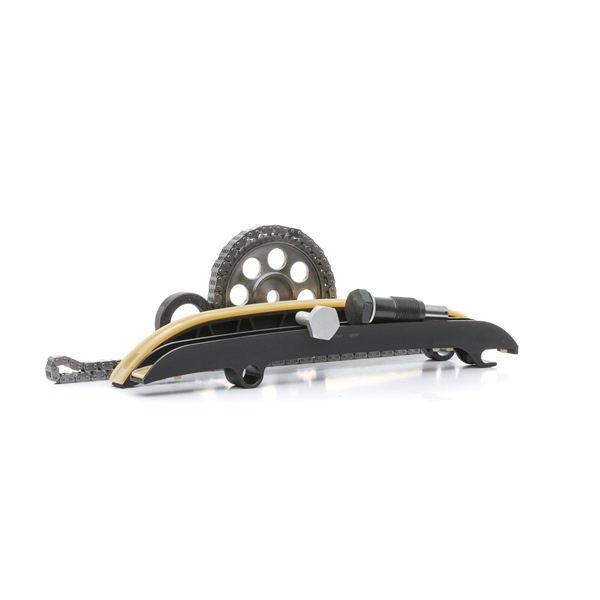 Timing chain kit 1389T0171 RIDEX 038 103 085 C BMW, AUDI, SKODA, SEAT, ALFA ROMEO