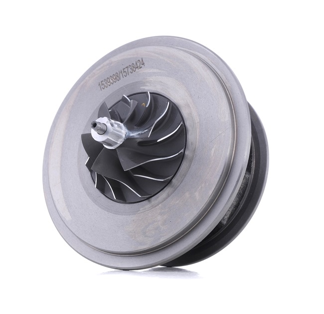 Conjunto piezas turbocompresor 4973C0039 RIDEX FORD Focus Mk1 Hatchback (DAW, DBW) 1.8 Turbo DI / TDDi 1999 90 cv