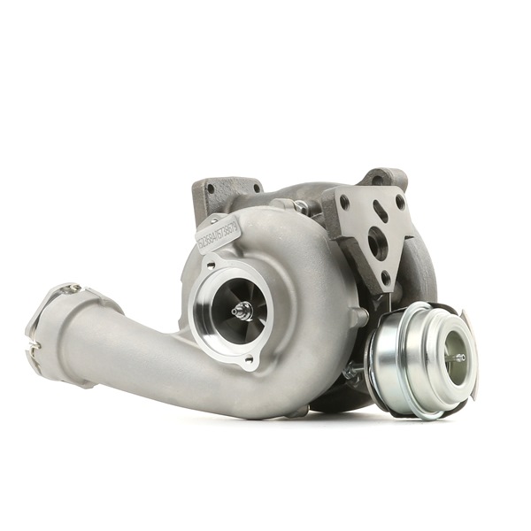 Turbolader 2234C0362 RIDEX Volkswagen Multivan T5 (7HM, 7HN, 7HF, 7EF, 7EM, 7EN) 2.5 TDI 2005 130 Pk