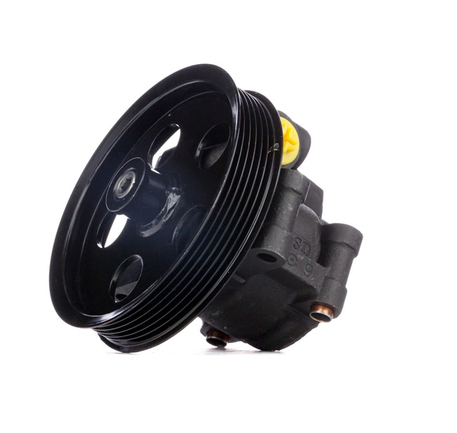 STARK SKHP-0540238 Servopumpe Ford Fiesta Mk5