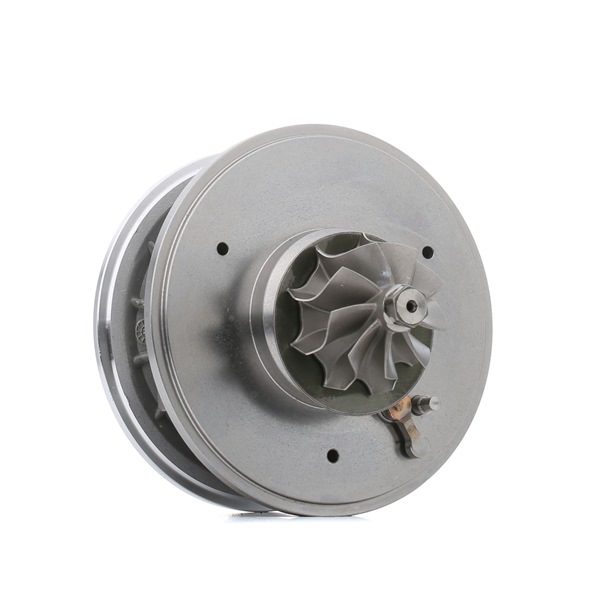 Turbolader 4973C0044 RIDEX Volkswagen Golf IV Variant (1J5) 1.9 TDI 2001 115 Pk