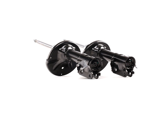 RIDEX 854S2598 Stoßdämpfer Hyundai Trajet Van