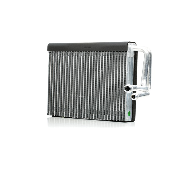 Airco verdamper 471E0036 RIDEX BMW X3 (F25) xDrive 20 i 2011 184 Pk