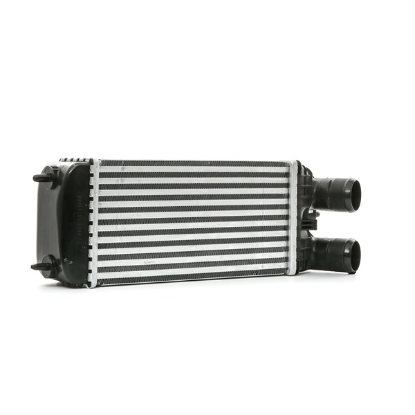 STARK SKICC-0890250 Intercooler DS DS3 3/5 portes