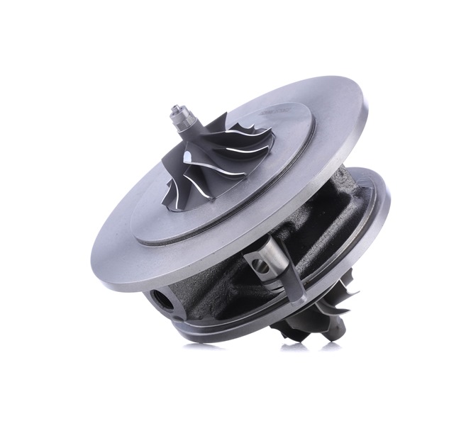 RIDEX | Turbolader 4973C0055 RENAULT Megane II Coupé-Cabriolet (EM) 2010 billige på nett