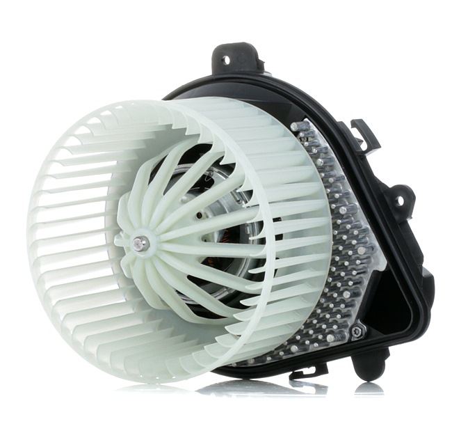 RIDEX 2669I0187 pulseur d'air CITROËN Jumpy I Van 2.0 HDi 94CV 1999