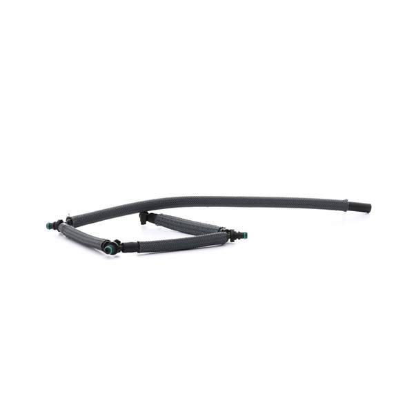 STARK SKHFO-3370013 fuel rail PEUGEOT 407 Saloon 2.0 HDi (6DRHRH, 6DRHRE, 6DRHRG, 6DRHRJ) 136hp 2005