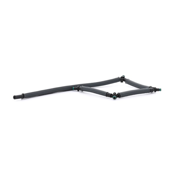RIDEX 3937H0014 fuel rail PEUGEOT 407 Saloon 2.0 HDi (6DRHRH, 6DRHRE, 6DRHRG, 6DRHRJ) 136hp 2004