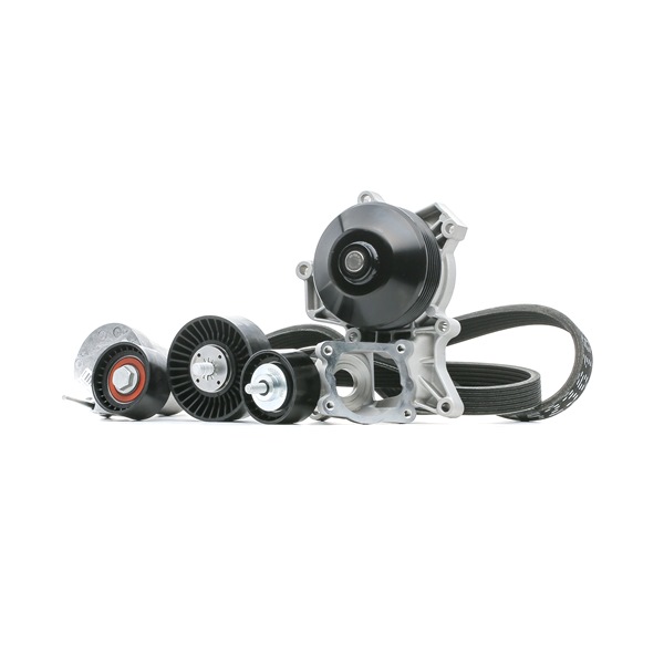 Bomba de água + kit da correia de distribuição 4172P0040 RIDEX BMW 1 Coupe (E82) 123 d 2009 204 cv