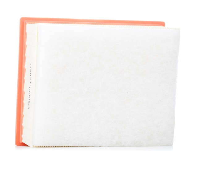 RIDEX 8A1615 Peugeot 206 Hatchback air filter replacement cost