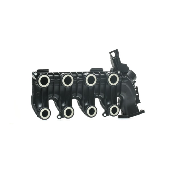 STARK SKIMM-3170009 Peugeot 206 Hatchback intake manifold replacement cost