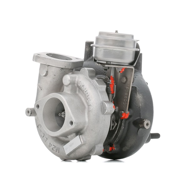 Número OEM 1441-1EC00C - Turbocompressor 2234C0189R RENAULT, BMW, VW, MERCEDES-BENZ, OPEL