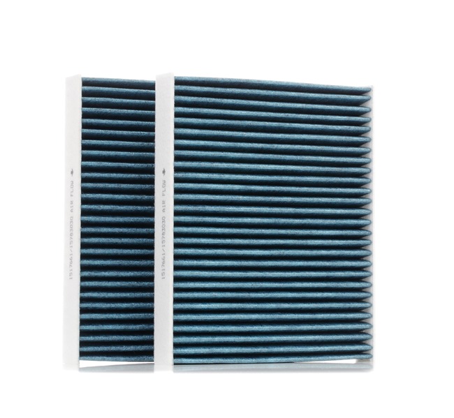 424I0495 RIDEX 64116809933 Pollen filter