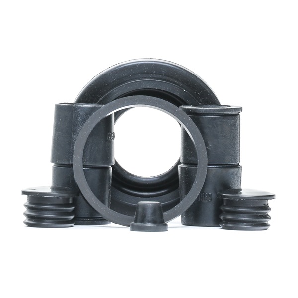 Kit di revisione della pinza freno 405R0172 RIDEX BMW 3 Coupe (E46) 318 Ci 2004 150 CV